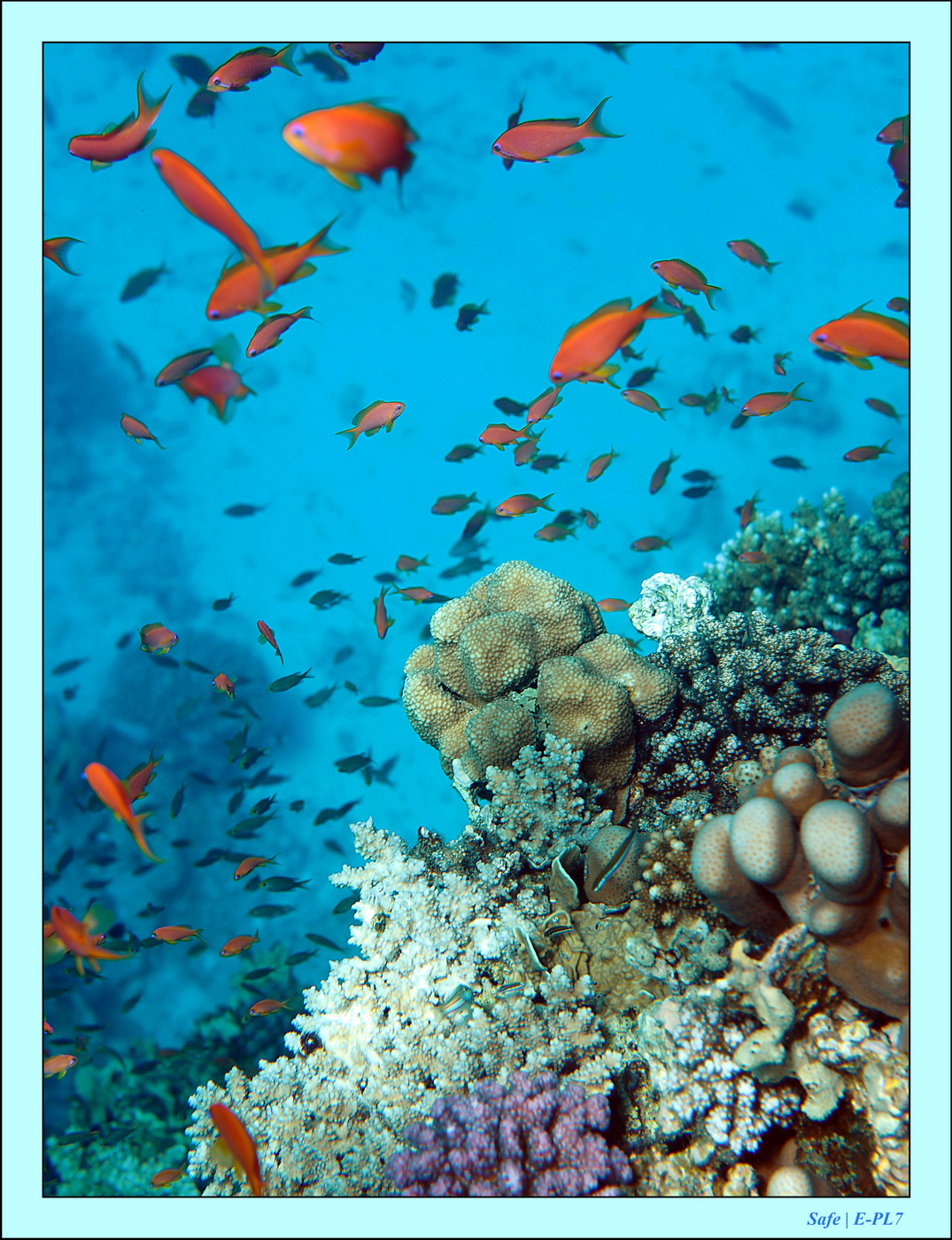 2023 - 03 - Charm El Sheikh - 31